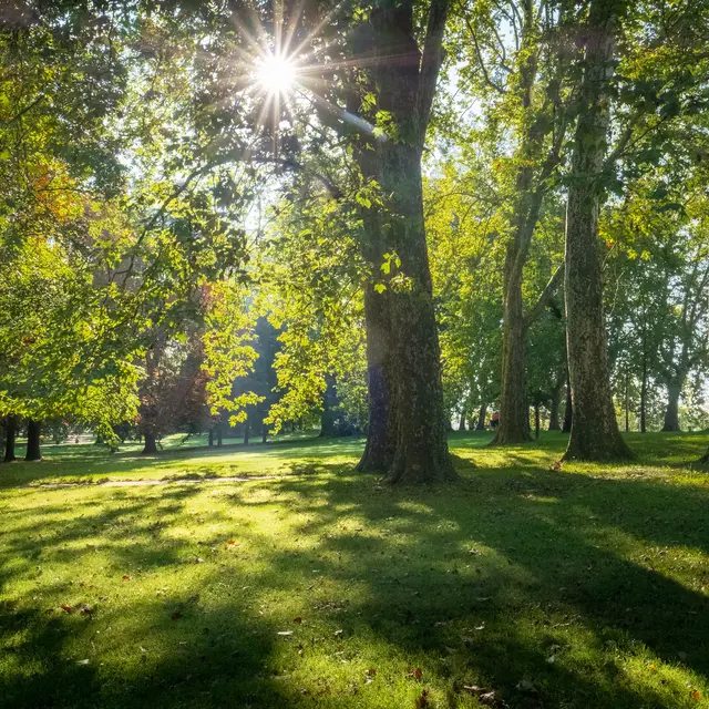 Parc Napoléon III_Vichy