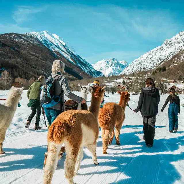 ALP'AGAGA, les excursions gagas de nature, d'animaux et de découvertes_Vallouise-Pelvoux