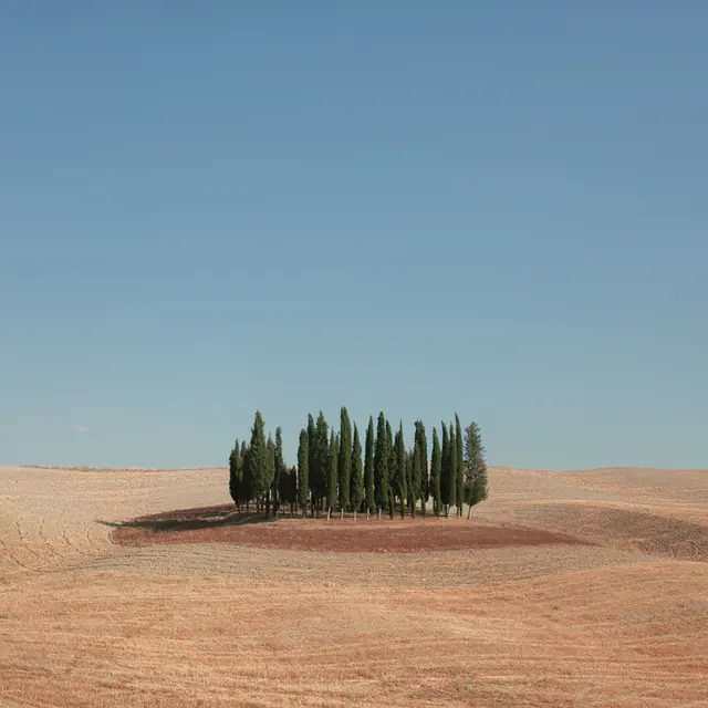 Exposition «Metamorphosis»_Villeneuve-lez-Avignon