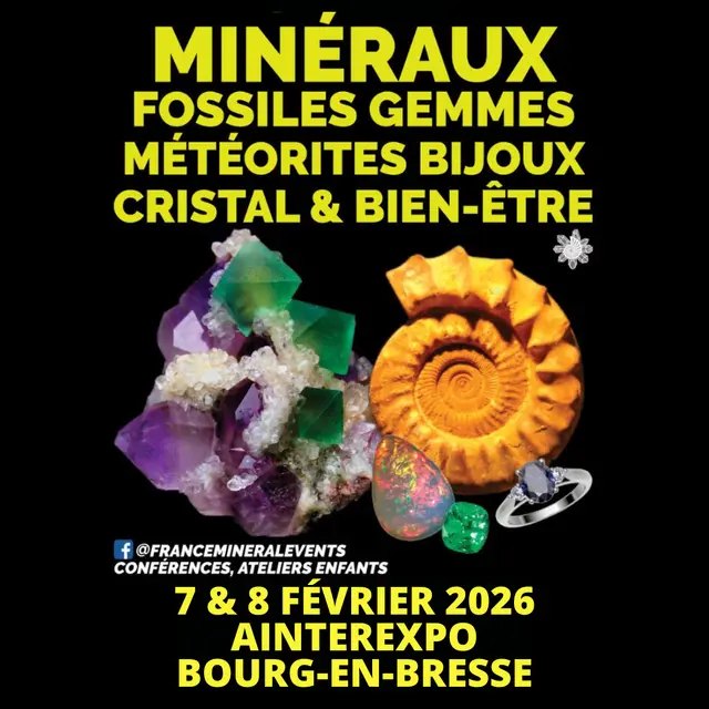 Affiche_Salon des minéraux, fossiles, gemmes, métérites, bijoux, cristal & bien-être_Bourg-en-Bresse