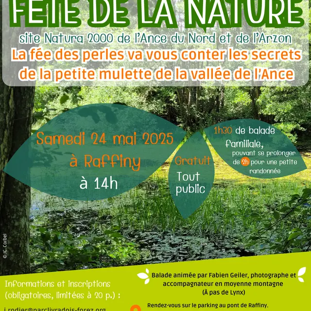 Affiche de l'animation