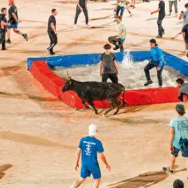 Feria - Toro-piscine «Interbandes» – Première demi-finale_Alès