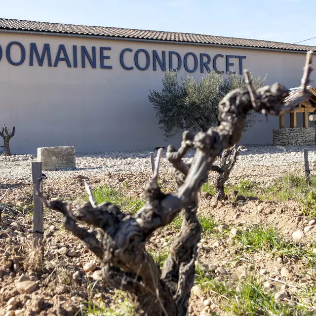 Domaine Condorcet
