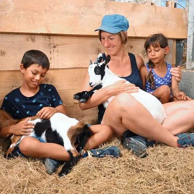 Ferme du champ rouge 3 2024