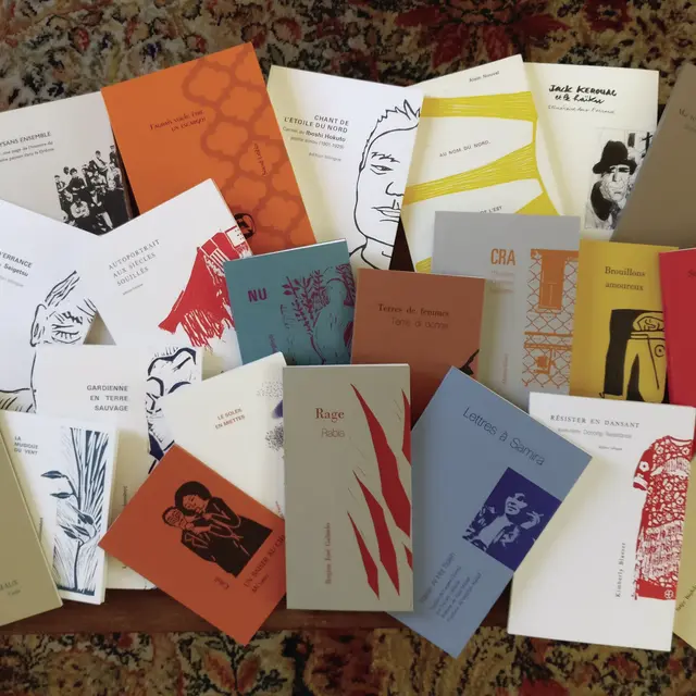 Exposition de Laetitia Gaudefroy Colombot - A la rencontre des éditions des Lisières_Bourg-en-Bresse