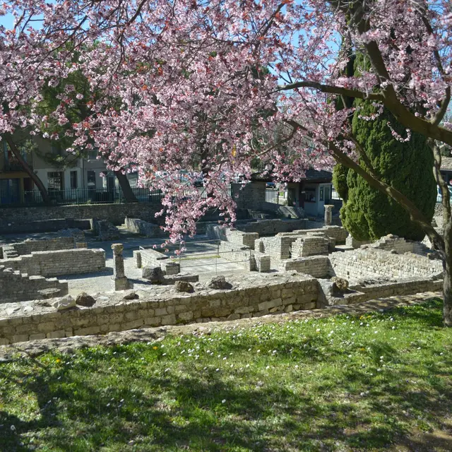 Visites contées_Vaison-la-Romaine