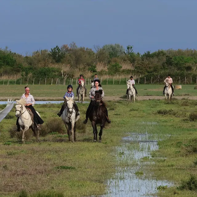 Camargue Passion Territoire_Arles