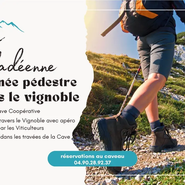 La Transviladéenne_Villedieu