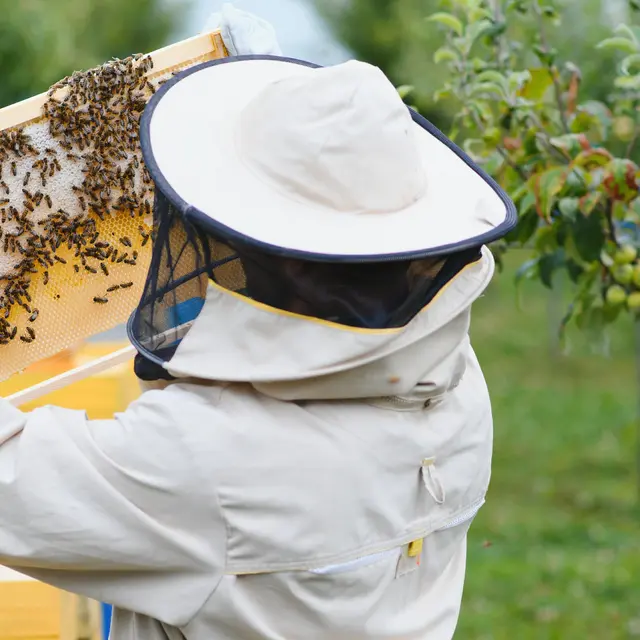 Formation à la Plantelière Pour les apiculteurs amateurs_Arpajon-sur-Cère
