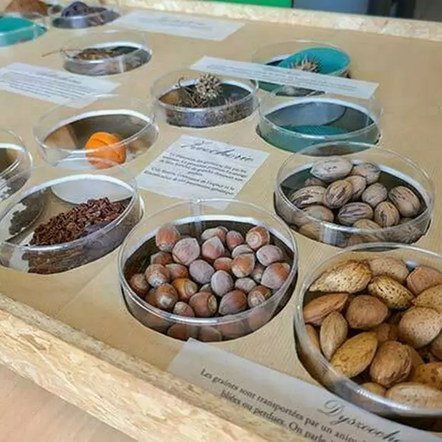 Exposition Graines d’avenir