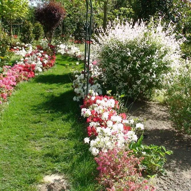 Parc Floral les Camellias Alès