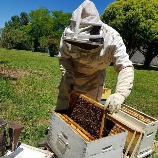 Les ruchers de GueNaé_Gimat