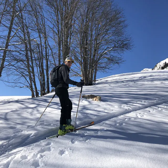Ski de randonnée