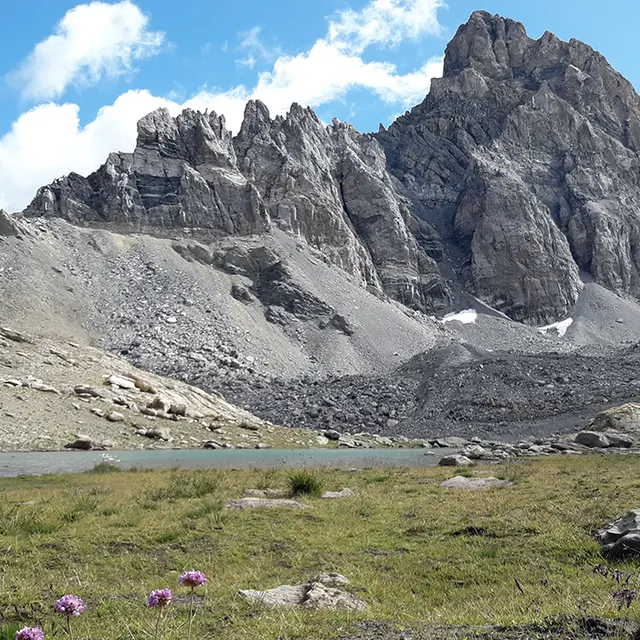 Bureau des guides de l'Ubaye : randonnée