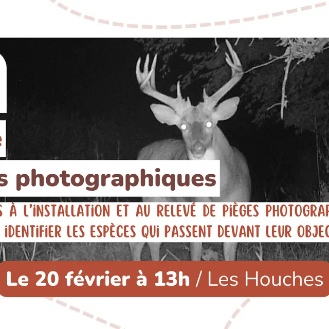 Sortie nature - Initiation aux pièges photographiques_Les Houches