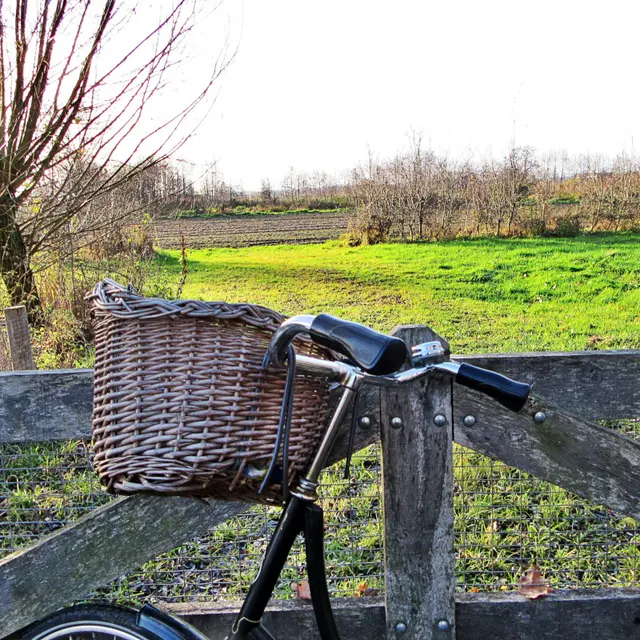 Nans les Pins - Le chemin de la Tuillières à vélo