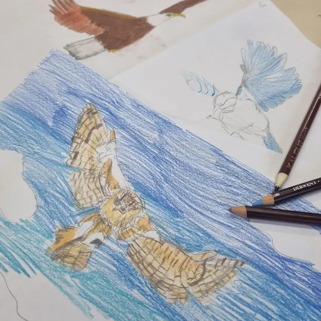 Atelier Dessine ton animal version Manga ou Kawaï_Saint-Pierre-en-Faucigny