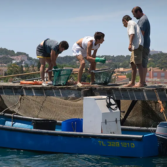 Pêche à l'épuisette