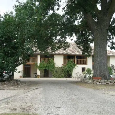 Le verger des Salvats