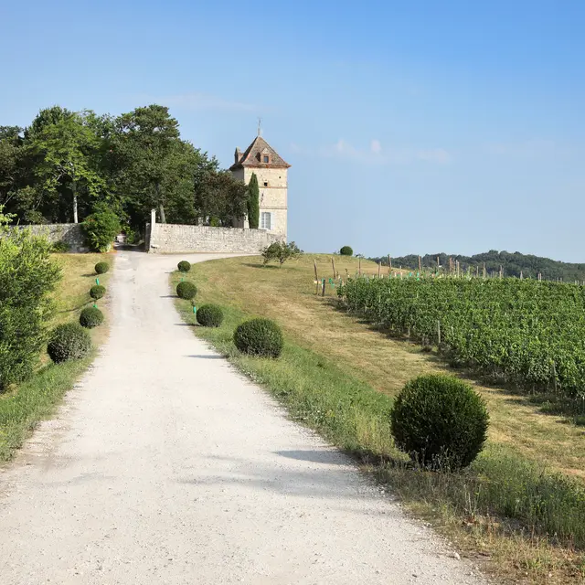 Chateau Labastide Orliac
