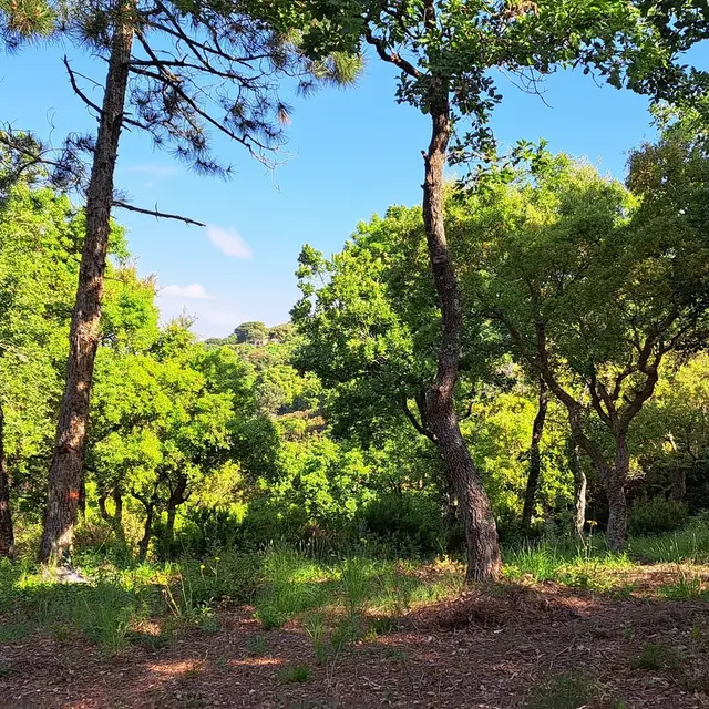 Sophrologie au moulin_Ramatuelle