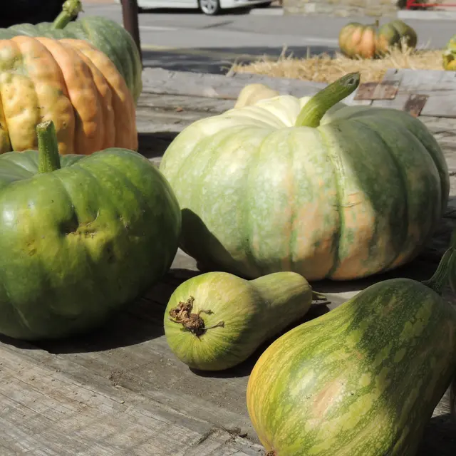 Foire aux courges de l'Epine