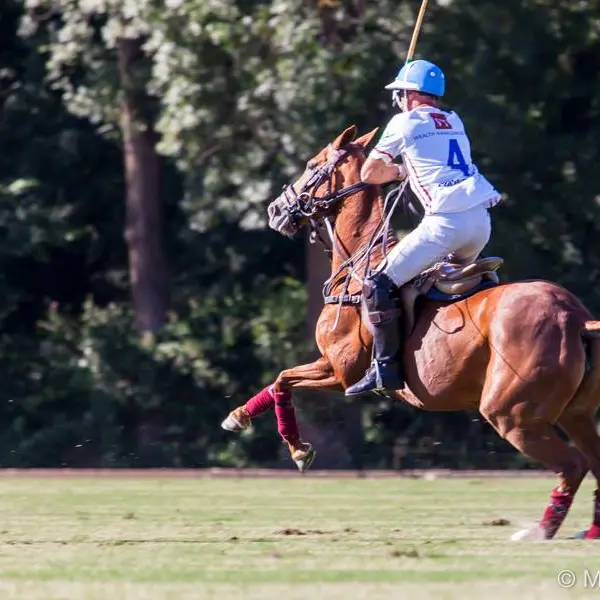Haras de Gassin-Concours de polo