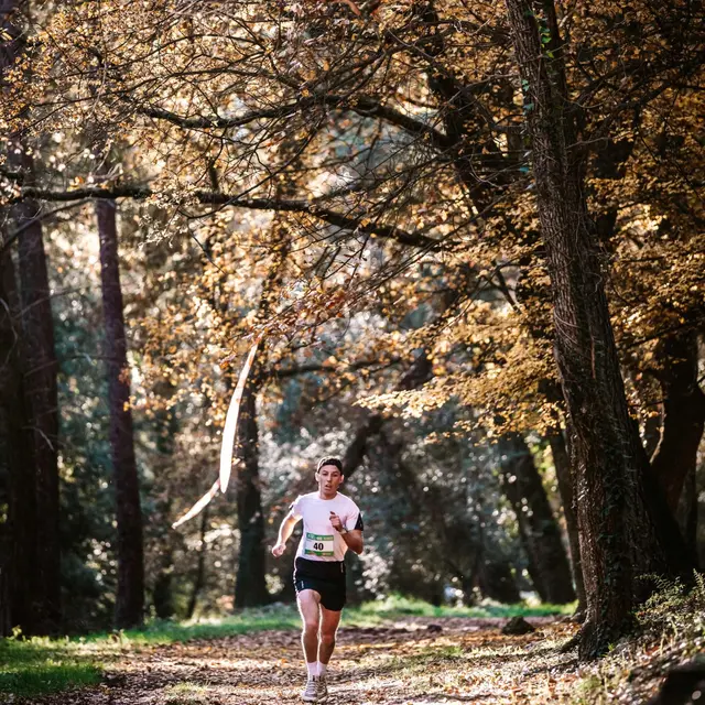 Trail du Pays Vençois_Vence