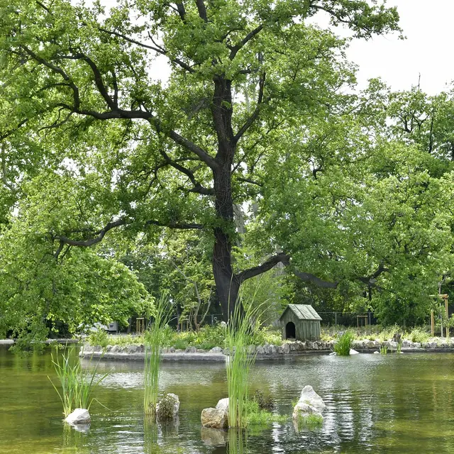 Parc Maison Blanche - Charles Aznavour
