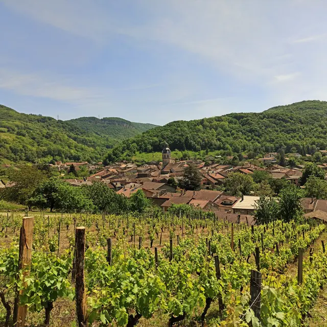la cave du Buizin