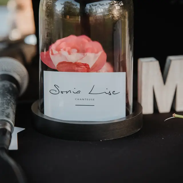 Dîner concert de Sonia Lise au Domaine de Libouze