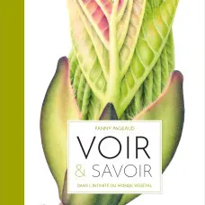 PARENTHESE DU (MARDI) Rencontre avec l’auteure-illustratrice, Fanny Pageaud, en résidence chez éclat de lire_Manosque