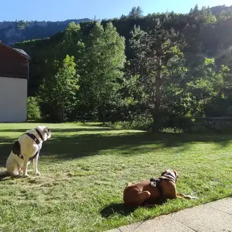 Villey-Molinatti Appartement le Palatin N°2_Vallouise-Pelvoux