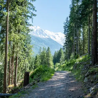 Petit Balcon sud :  Argentière- Les Tines_Argentière