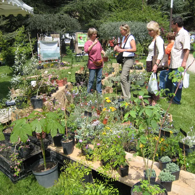 Bourse aux Plantes