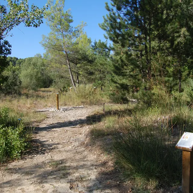 Sentier des Piboules - Entrechaux