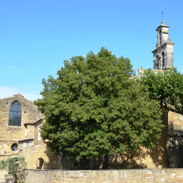 Journées du patrimoine : visite de l'abbaye_Bouchet