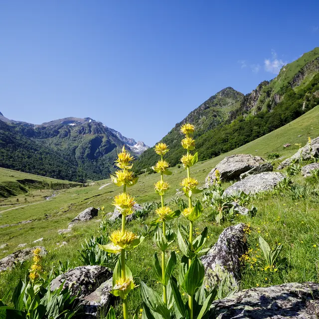 Réserve d'Orlu
