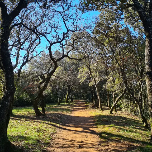 Parc de la Garenne_Suze-la-Rousse