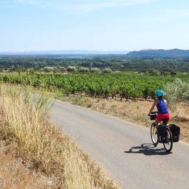 ViaRhôna à travers le vignoble de Châteauneuf-du-Pape