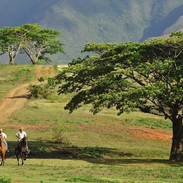 Stockmen - Yala Ranch