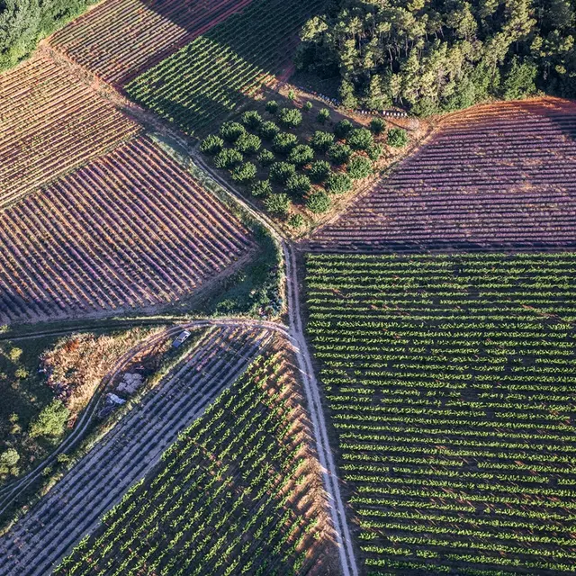 Vol en montgolfière