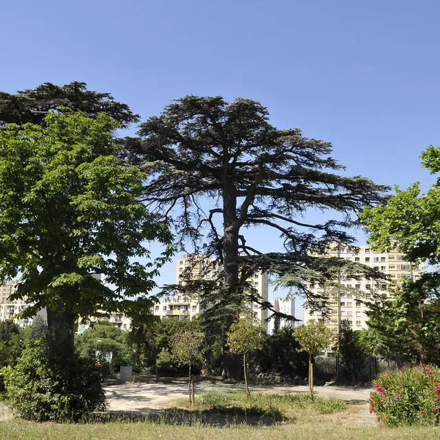 Parc Varella - Ville de Marseille