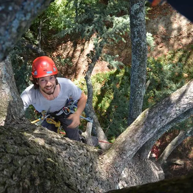 Découverte Grimpe d'arbres, avec Haut Perché_Ax-les-Thermes