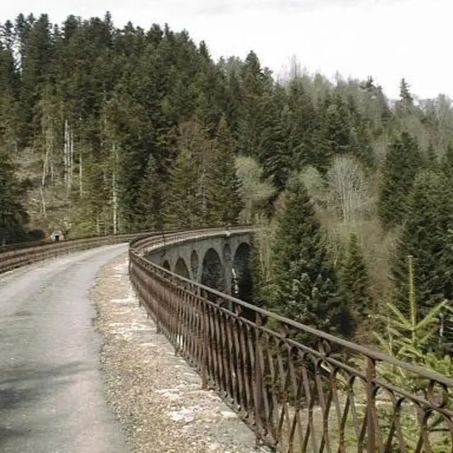 Viaduc des Peux_Saint-Priest-la-Prugne