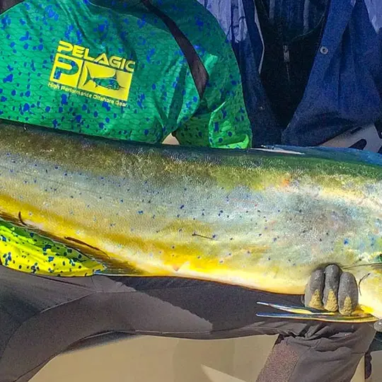 Fishingtrip 1