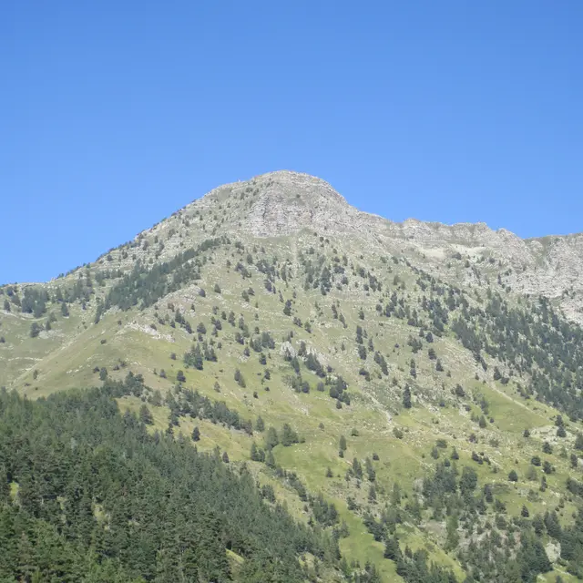 Randonnée pédestre Traversée du mont Saccarel