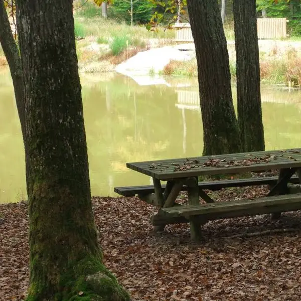 Aire de pique-nique des étang de la Forêt de Lespinasse