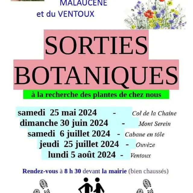 Sorties Botaniques Malaucène