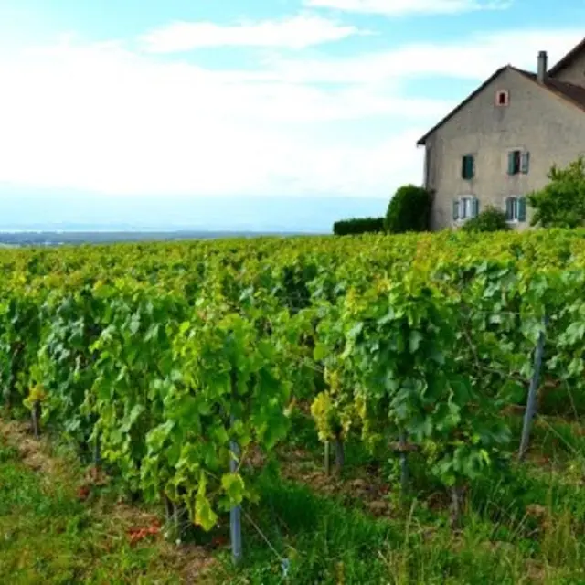 Domaine de Senoche - Chambre d'hôtes